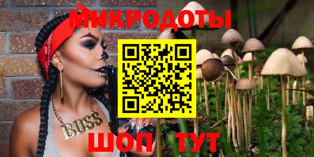 Галлюциногенные грибы GOLDEN TEACHER  Псилоцибиновые грибы прущие грибы  Вход с VPN  Кудрово 