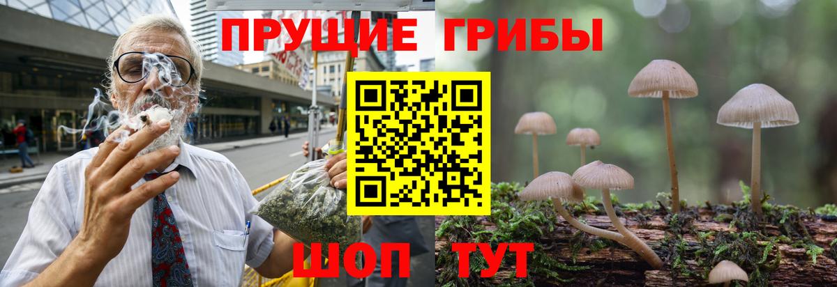Галлюциногенные грибы прущие грибы Кудрово